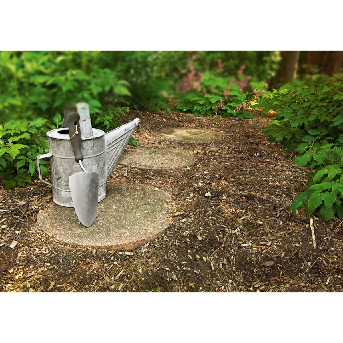 Aktiverde Terra Preta 20 L^Plantiflor Sale