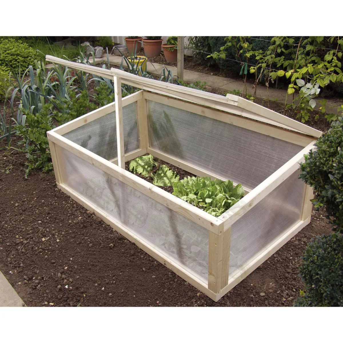 gutta Polycarbonat-Hohlkammerplatte transparent 250 x 98 cm