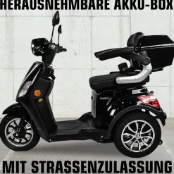 Rolektro E-Dreiradroller „25 V.3“ 1000 W, schwarz
