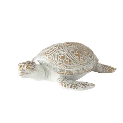 Schildkroete Quila 13 cm 2 Sorten^ Online