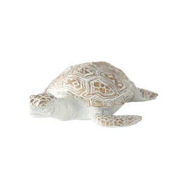 Schildkroete Quila 13 cm 2 Sorten^ Online