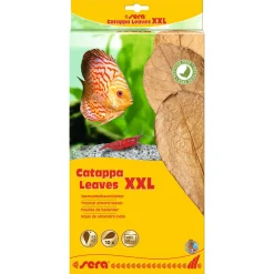 Catappa Leaves XXL 10 Stück*sera