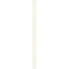 Ambiente Paneel 10mm Pinie weiß^Specht Hot