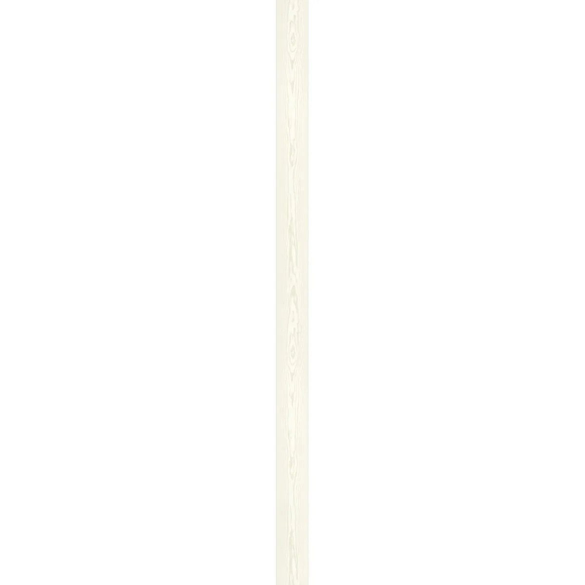 Ambiente Paneel 10mm Pinie weiß^Specht Hot
