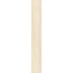 Specht Ambiente Paneel 10mm Birke hell