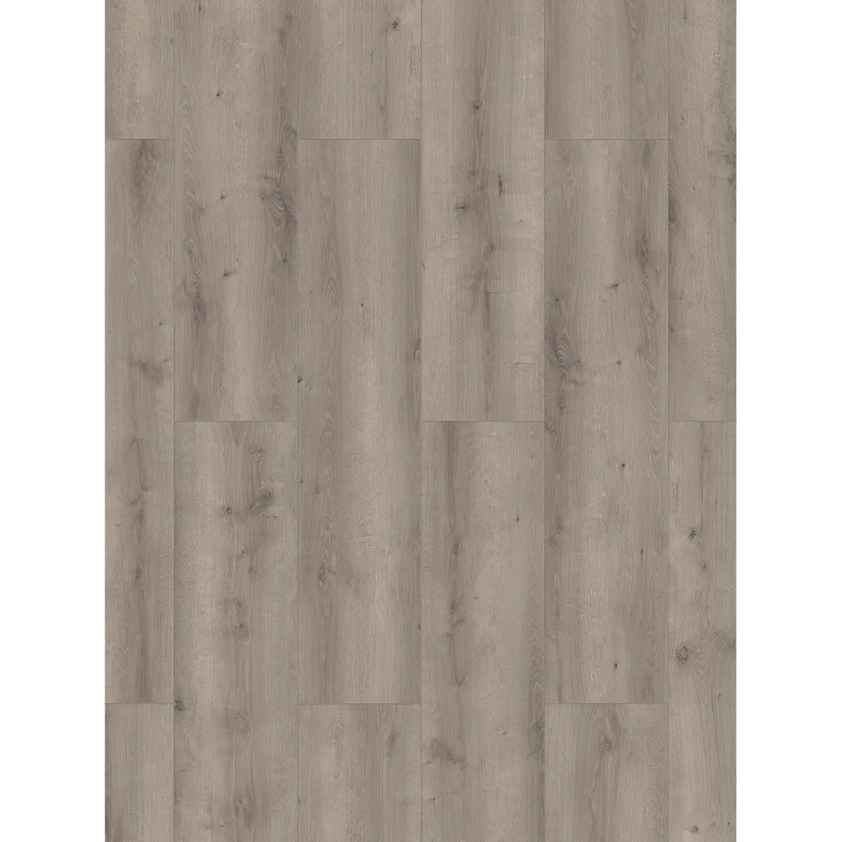 Laminat Aqua Eiche grau 128,5x19,2x0,8 cm^Specht Clearance
