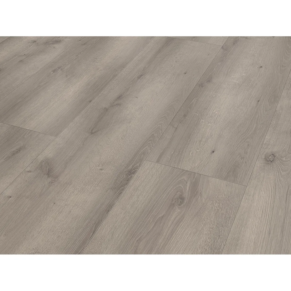 Laminat Aqua Eiche grau 128,5x19,2x0,8 cm^Specht Clearance