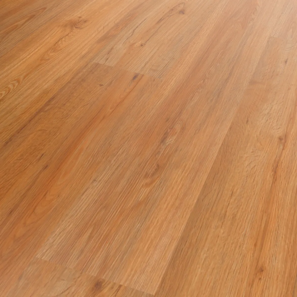 Specht Vinylboden Vinyl SPC Ambiente Avignon Eiche 1220 x 230 x 4,8 mm