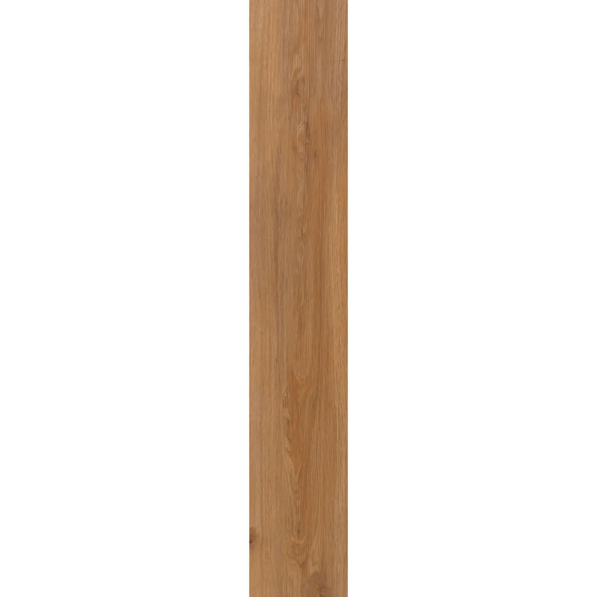 Specht Vinylboden Vinyl SPC Ambiente Avignon Eiche 1220 x 230 x 4,8 mm