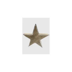 Stern X-Mas 20 cm silber
