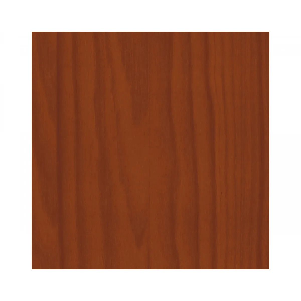 Vincent 2in1 Holzschutzlack Spray teak 500 ml