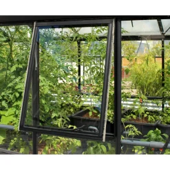 Damen Vitavia Seitenfenster schwarz