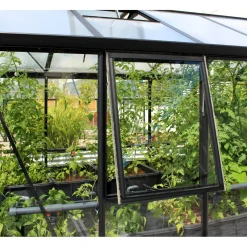 Damen Vitavia Seitenfenster Glas schwarz