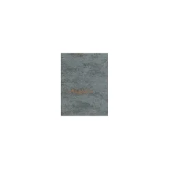 Vliestapete Beton 10,05 x 0,53 m anthrazit mit Kupfer