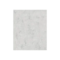 Vliestapete 10,05x0,53 m Creme silber