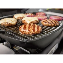 Gasgrill Q1200N^Weber Best