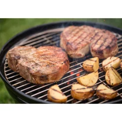 Weber Picknick Holzkohlegrill Smokey Joe