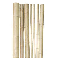 Bambusrohr 200x3-4 cm^Windhager Best