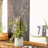 Blumenstütze 77x34 cm metall*Windhager Online