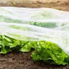 Windhager Frühbeet-Folie Supergrow 5x1,35 m