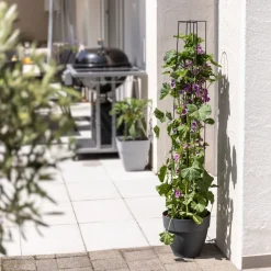 Ranksäule 2-teilig 125 cm*Windhager Best