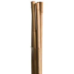Tonkinstäbe 90 cm*Windhager Outlet