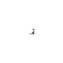 Ranknetz 10 x 2 m 50 mm*Windhager Outlet