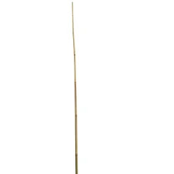 Wingart Bambusstab 210 cm
