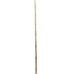 Wingart Bambusstab 240 cm