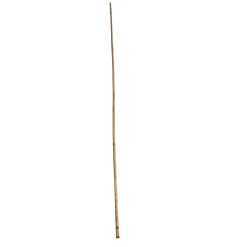 Wingart Bambusstab 105 cm