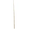 Bambusstab 180 cm^Wingart Clearance