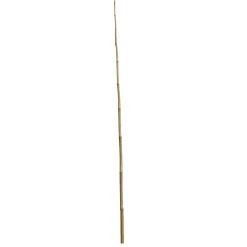Bambusstab 180 cm^Wingart Clearance