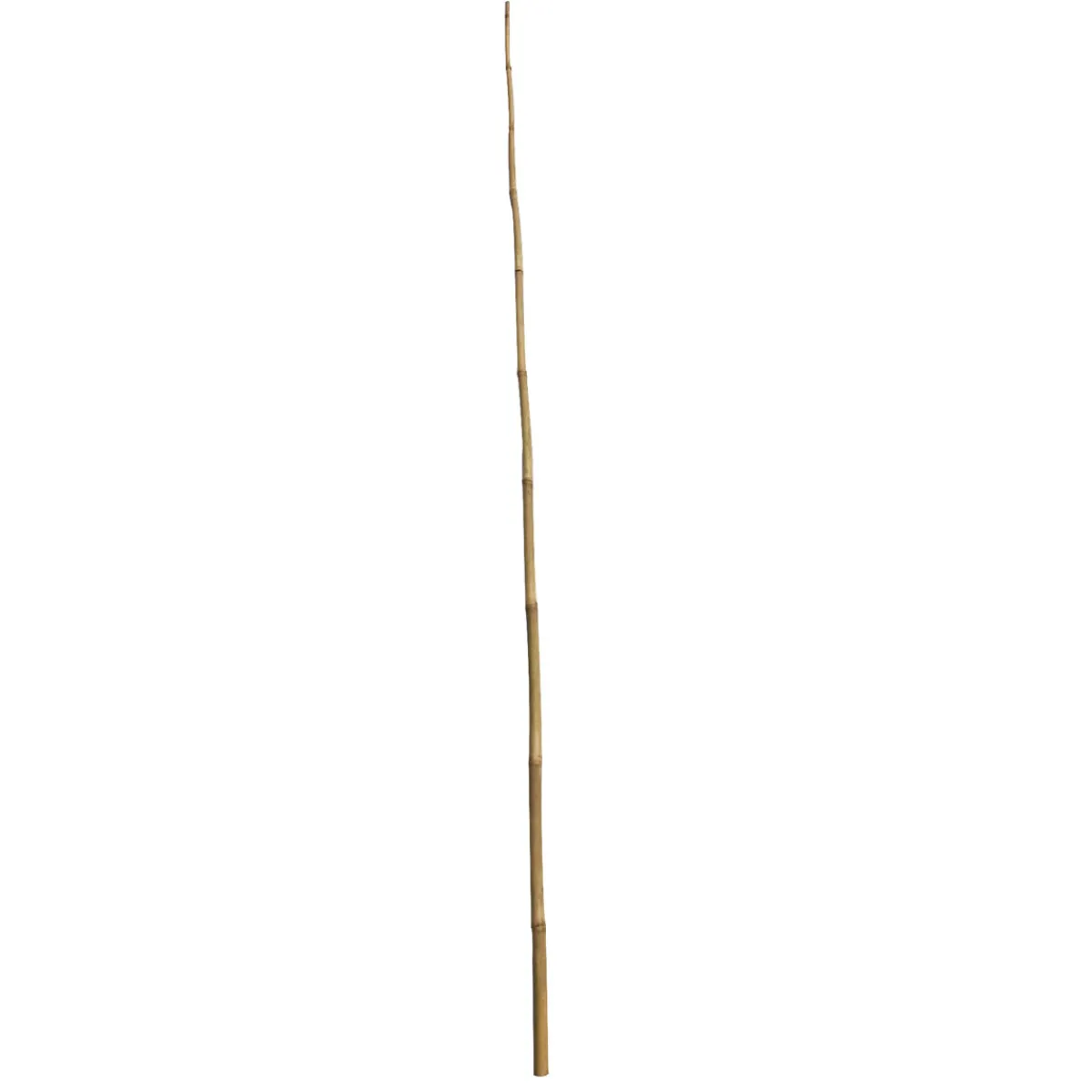 Bambusstab 180 cm^Wingart Clearance
